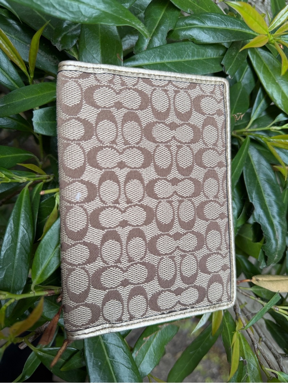 Gold Passport Wallet Jacquard  with Pink Interior